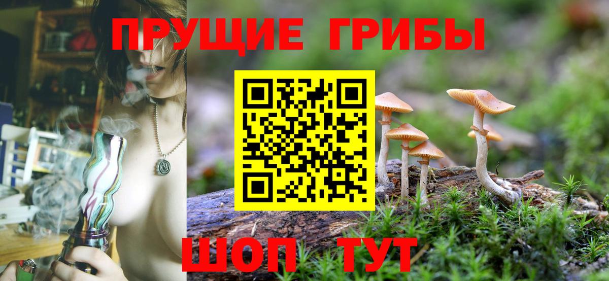 Кувандык  Псилоцибиновые грибы мухоморы  Галлюциногенные грибы мицелий  Вход с VPN 